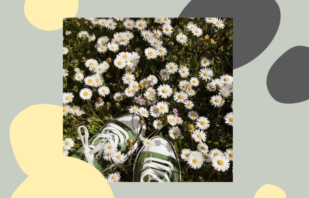 Gröna sneakers i en sommargrön blommig gräsmatta